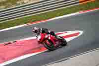 cadwell-no-limits-trackday;cadwell-park;cadwell-park-photographs;cadwell-trackday-photographs;enduro-digital-images;event-digital-images;eventdigitalimages;navarra;no-limits-trackdays;peter-wileman-photography;racing-digital-images;trackday-digital-images;trackday-photos